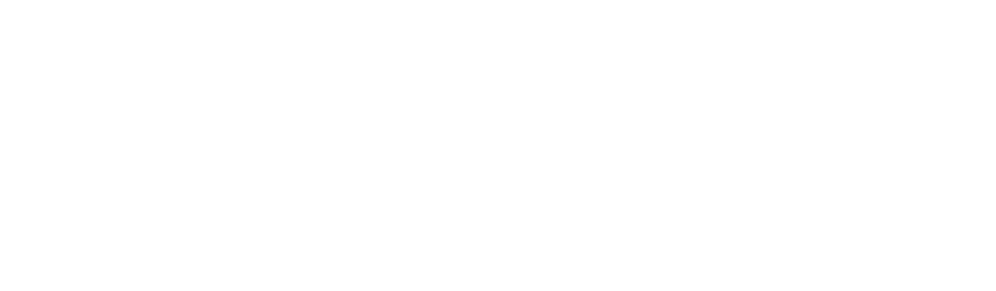 GVK GROUP